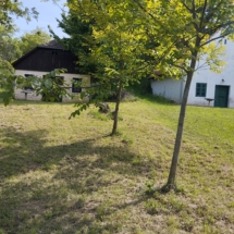 19a#borospinceelado #eladópince #bakonygyirot #landhausungarn