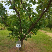 3Évi 20 tonna termés, kialakult vevőkörrel.