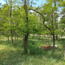 43#Pferdehof #Natura2000 #Ungarn #Seniorenresidenz #Ökotourismus #Landhausungarn