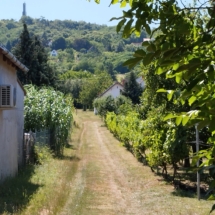 16Voll möbliertes Ferienhaus mit Weinkeller am Sághegy