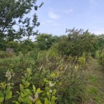 4haz-gyor-landhaus-cecilia lux