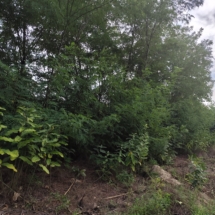 5haz-gyor-landhaus-cecilia lux