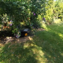 16#immo #mihalyi #ungarn #hausverkauf