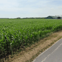 2industrie cecilia lux